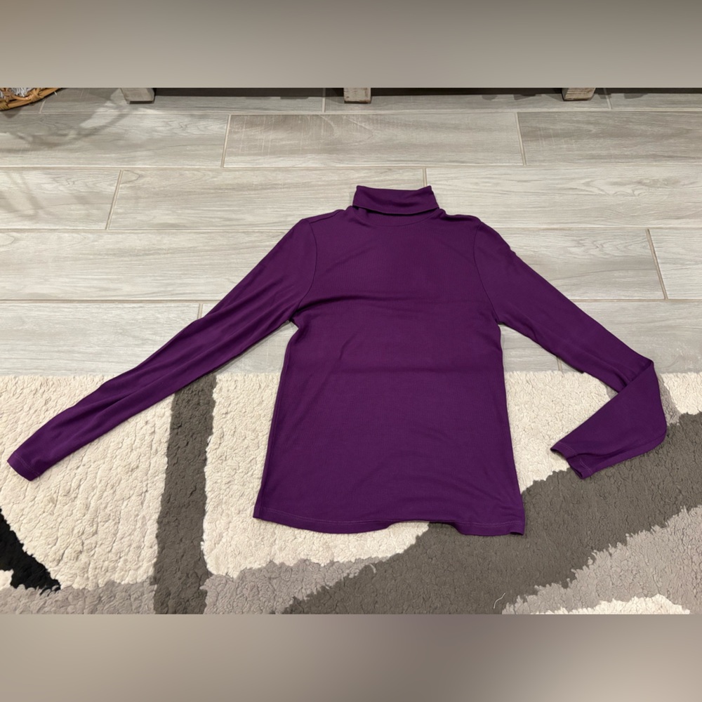 Marine Layer Ribbed Turtleneck